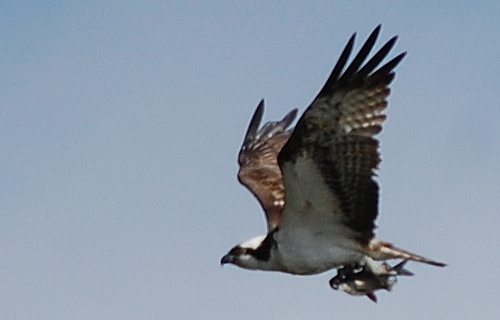 f0248120_4362783.jpg