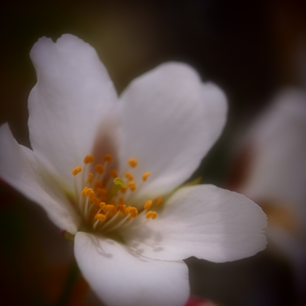 b0201233_14403215.jpg