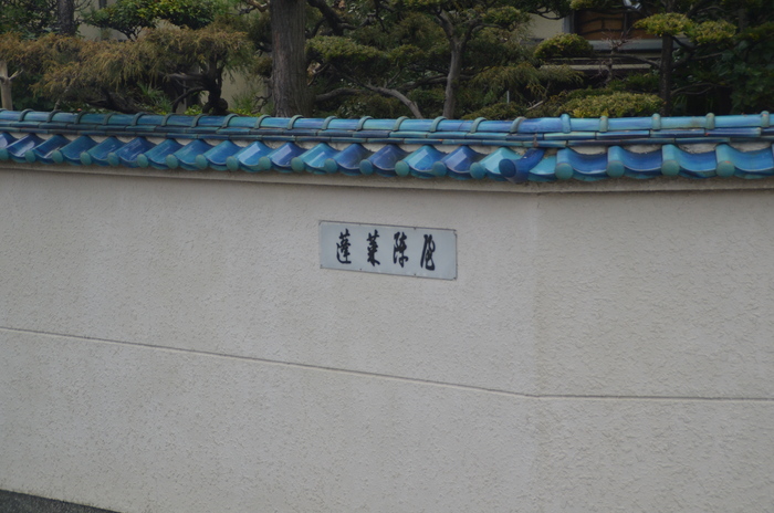 c0202242_817776.jpg
