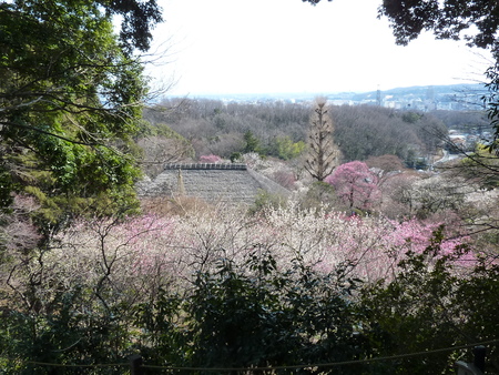 散歩会で、百草園からサントリービール工場見学_b0082147_014378.jpg