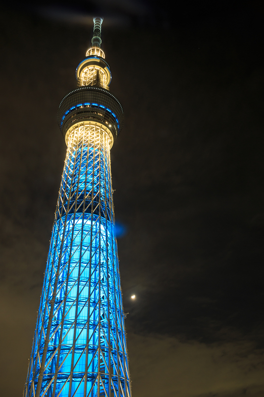 東京夜景_f0155048_23125596.jpg