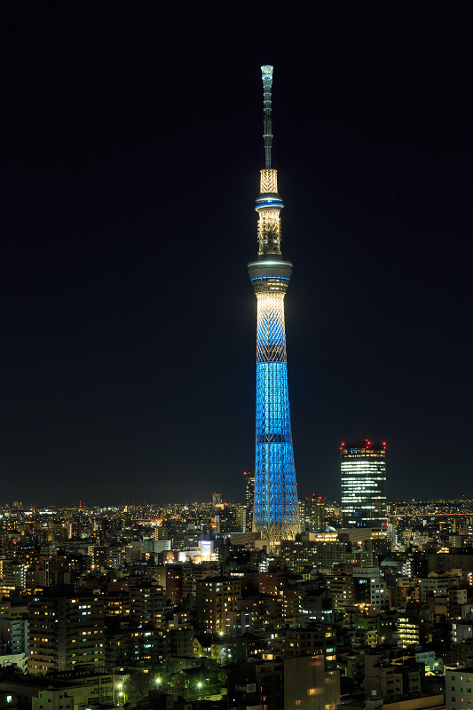 東京夜景_f0155048_2365219.jpg