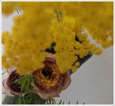 ミモザを生ける-2 : tamins の花と空と月と☆ ミモザを生ける-2 : tamins の花と空と月と☆