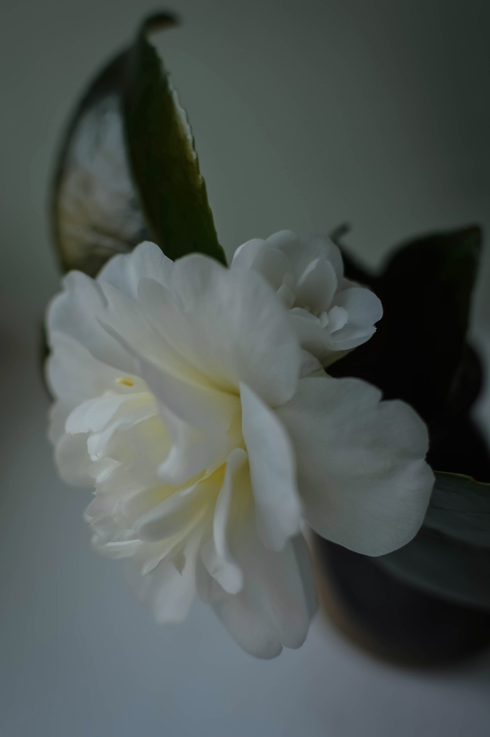e0305164_51535.jpg