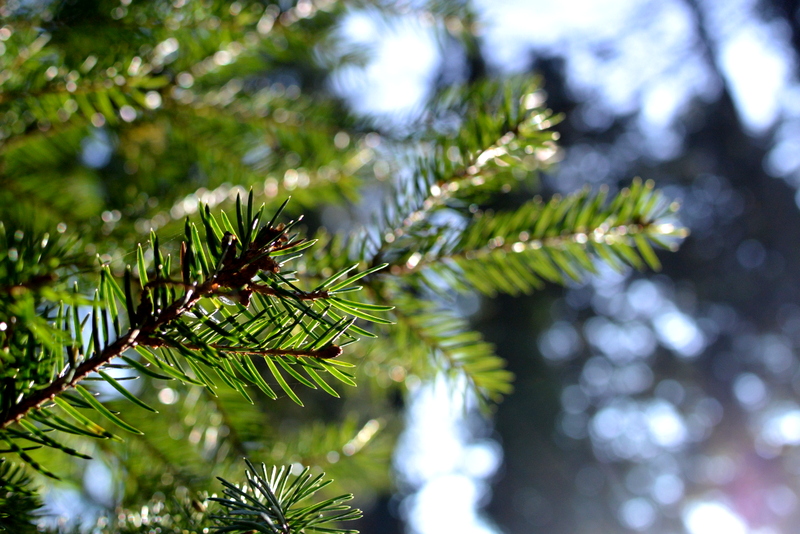 c0287366_0414280.jpg