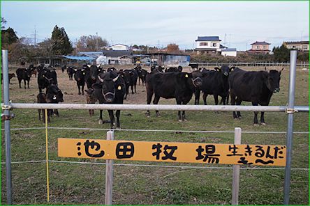 a0318802_21475378.jpg