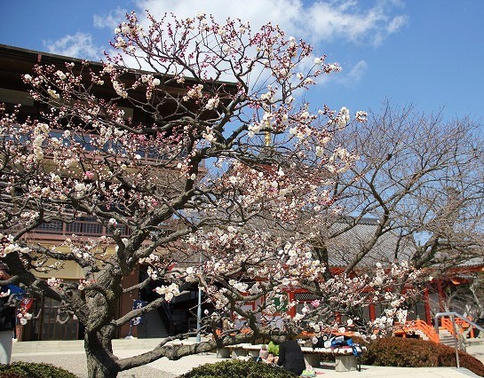 a0123003_8414074.jpg