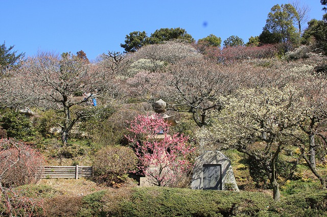 a0123003_847316.jpg