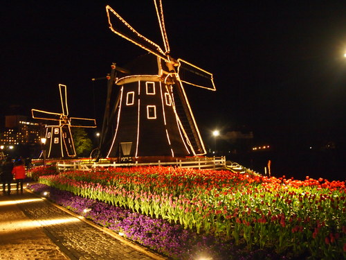 d0016003_1742037.jpg