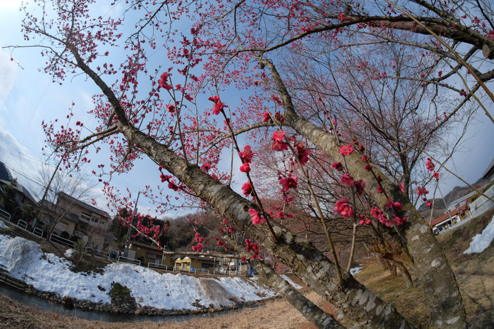 魚眼レンズと景信山_d0279705_1685249.jpg