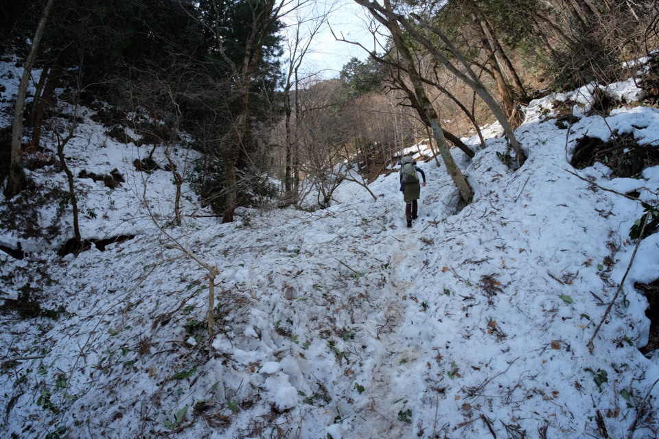 魚眼レンズと景信山_d0279705_169563.jpg