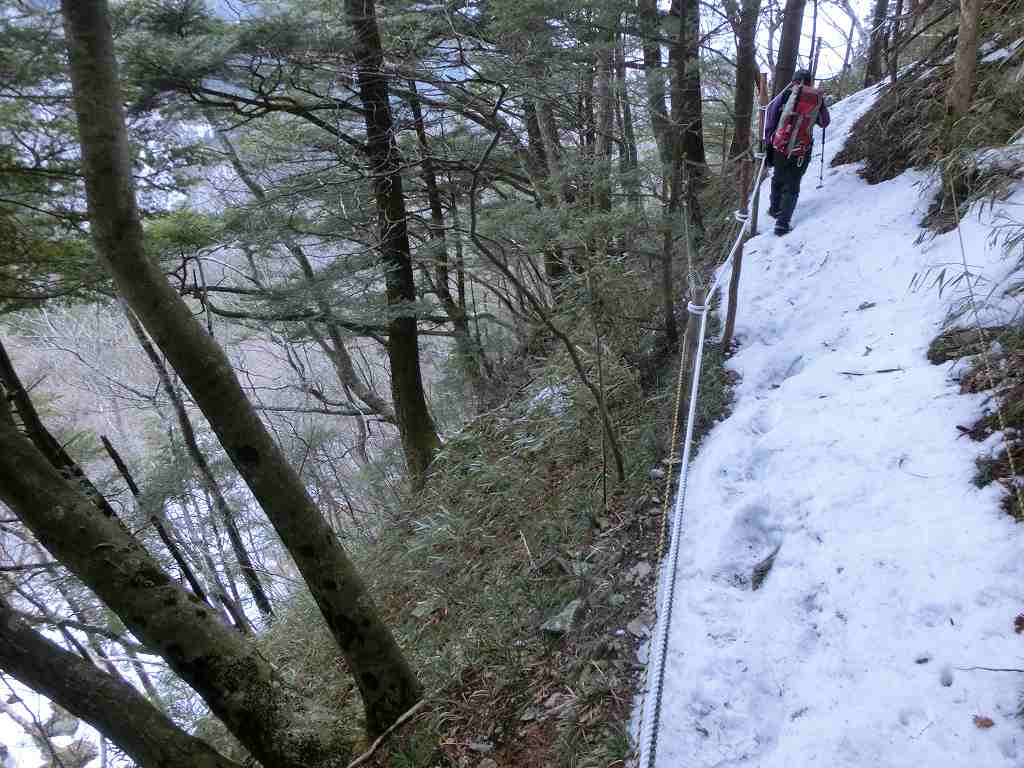 笹ヶ峰　北面直登ルート　　チチ山_b0124306_1195325.jpg