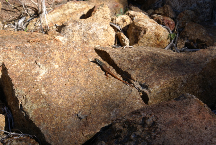 a0162707_2322491.jpg