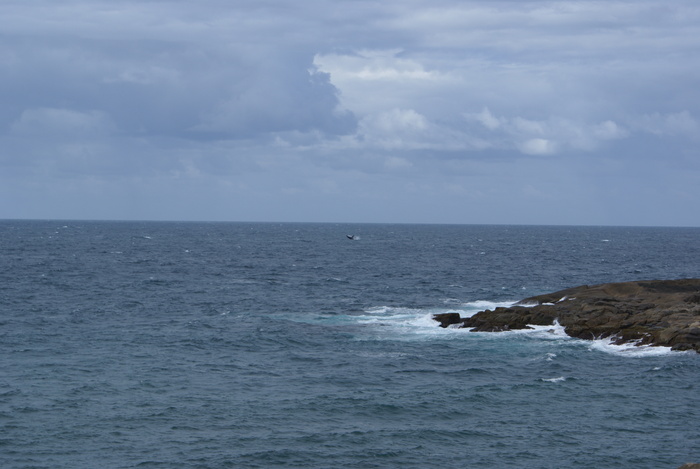 a0162707_23461391.jpg