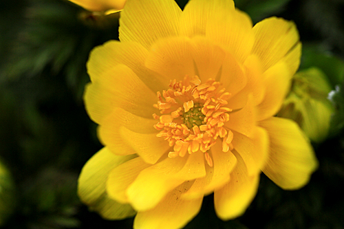 b0014607_20114991.jpg