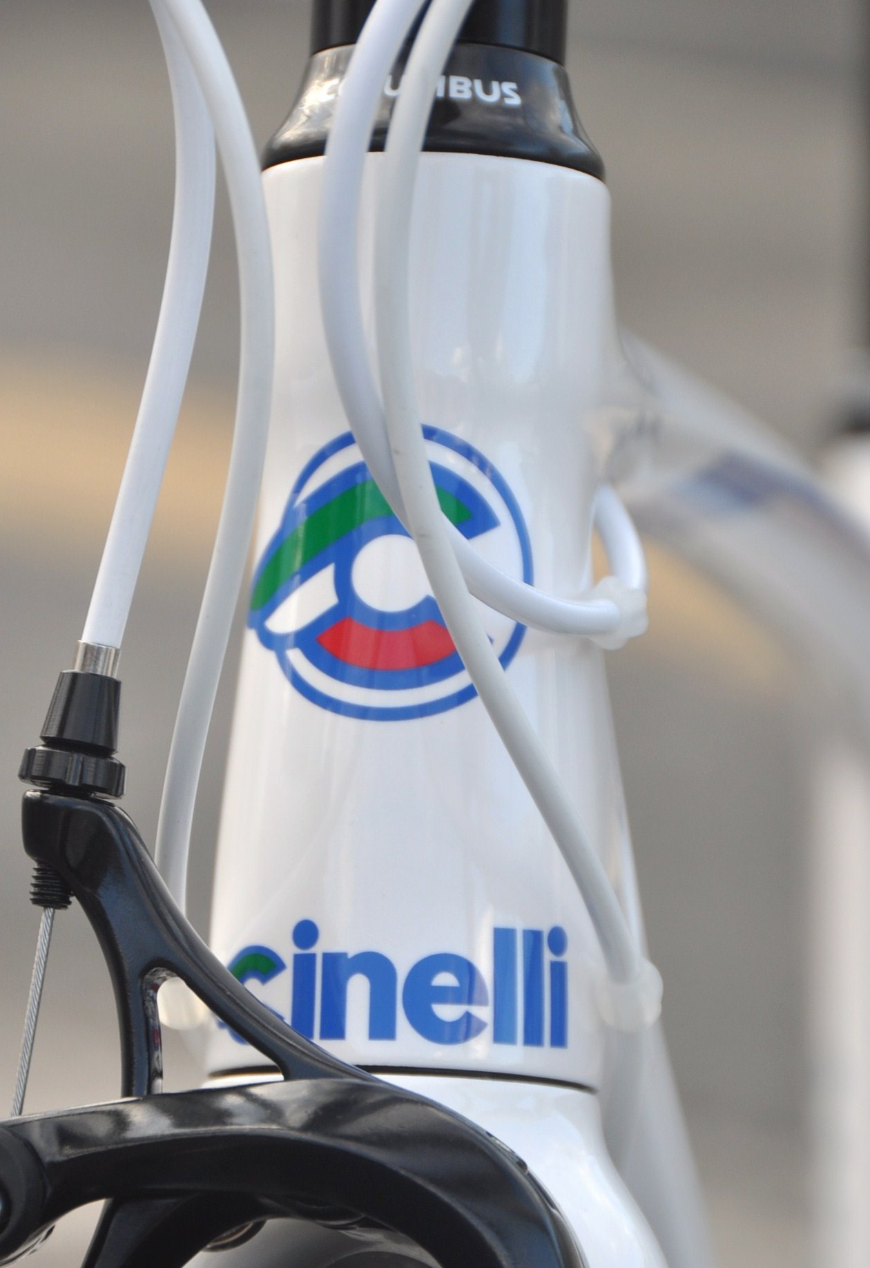 Cinelli　SAETTA_b0246207_23201555.jpg