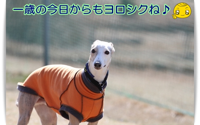e0100007_22273059.jpg