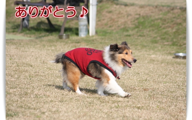 e0100007_22274257.jpg