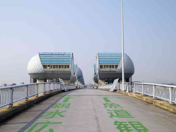 b0000209_204281.jpg