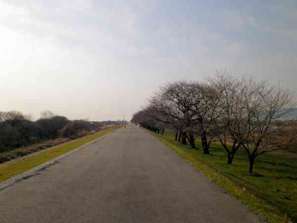 b0000209_204883.jpg