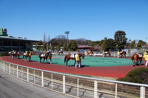早朝自転車東京巡り_e0000910_1622476.jpg