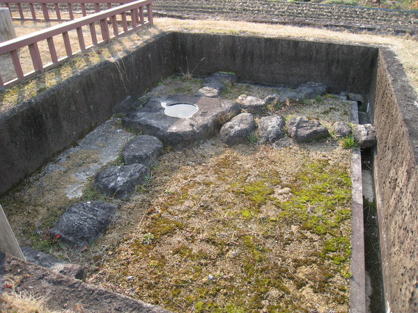 d0287413_946493.jpg