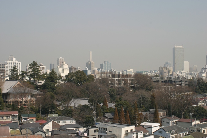 新宿、池袋遠景_b0325217_18325372.jpg