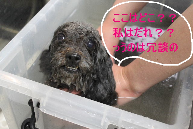 久々に～～！！_b0130018_16534979.jpg