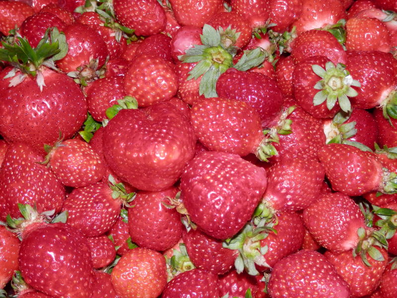有機「あまおう苺」で作る「かき氷シロップ」＆「ジャム」作り_a0125419_21334399.jpg
