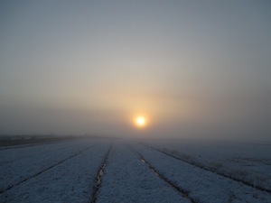 f0147922_9141537.jpg