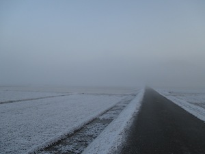 f0147922_9142415.jpg