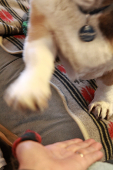 e0071225_1819.jpg