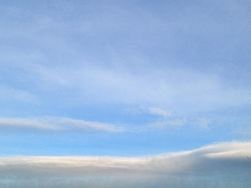 砂肝とニラの塩バター炒め_d0104926_59984.jpg