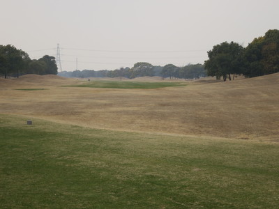 a0124132_1746325.jpg