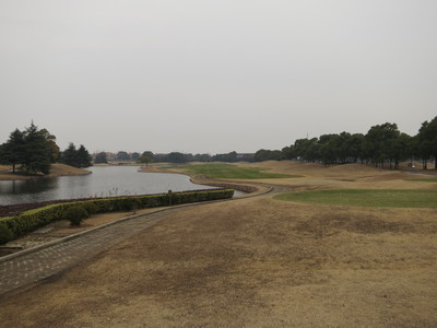 a0124132_1747168.jpg