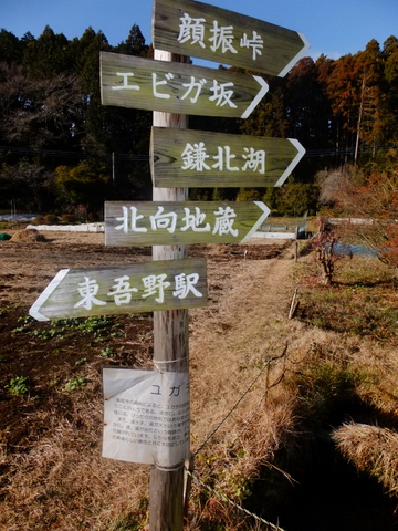 冬の奥武蔵低山歩き(日和田山〜物見山)〜12月22日(日)〜その③_b0281732_1734535.jpg