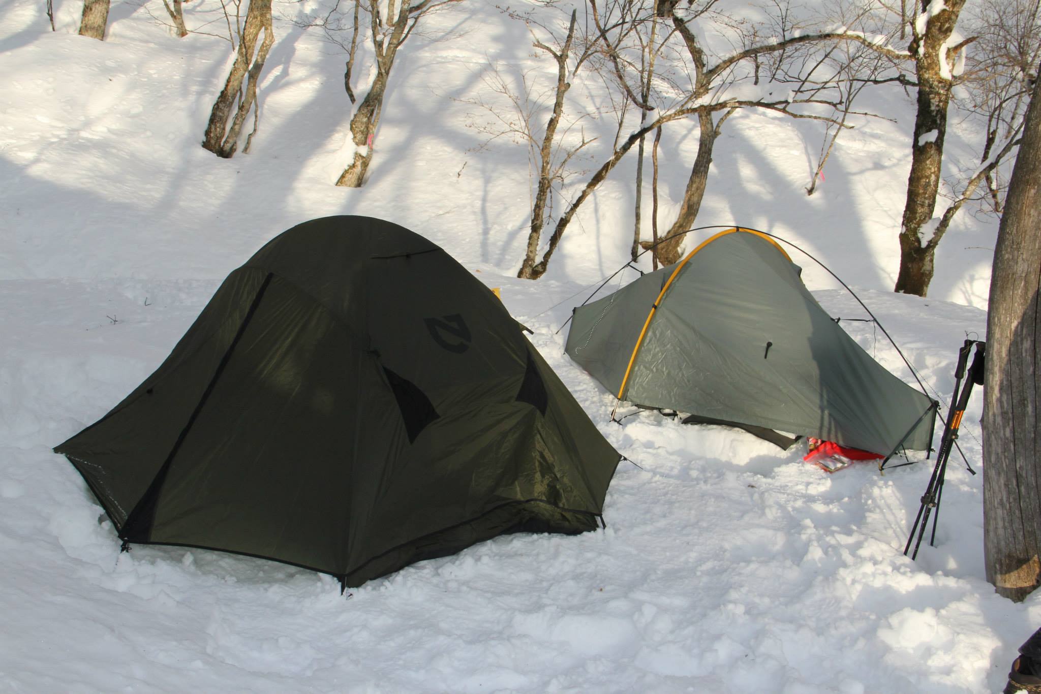 f0251840_13525.jpg