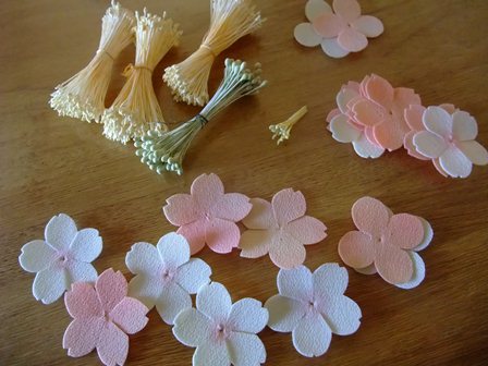 磨かれた メドレー レイア 桜 コサージュ 手作り Diez Pasarelas Com 磨かれた メドレー レイア 桜 コサージュ 手作り Diez Pasarelas Com