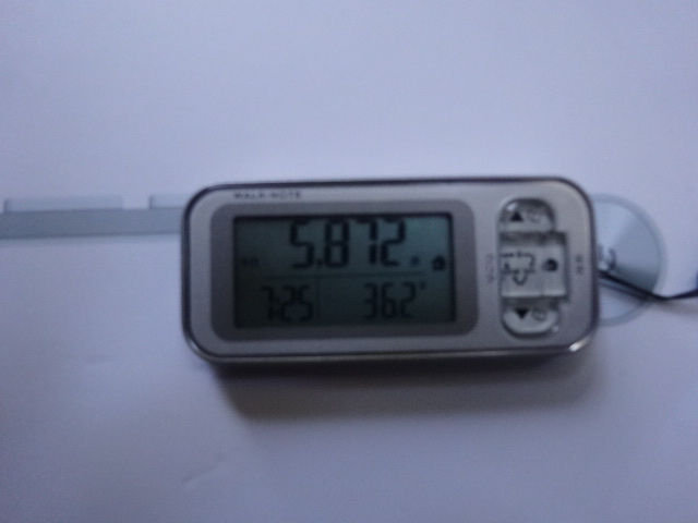 c0306845_1951483.jpg