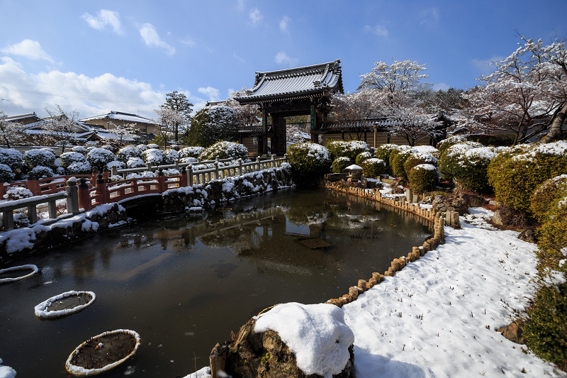 【額縁光景・その17】雪の庭（妙満寺）_f0155048_23241089.jpg