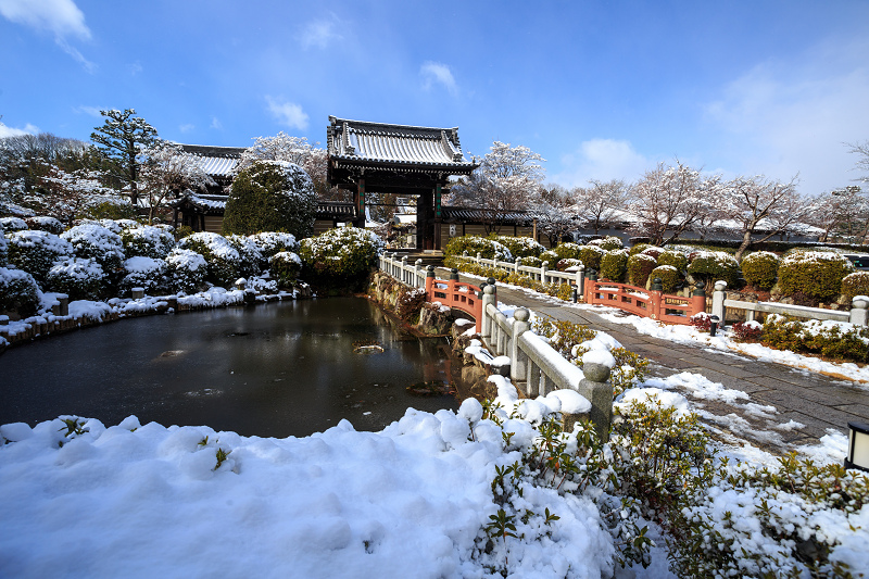 【額縁光景・その17】雪の庭（妙満寺）_f0155048_23241622.jpg