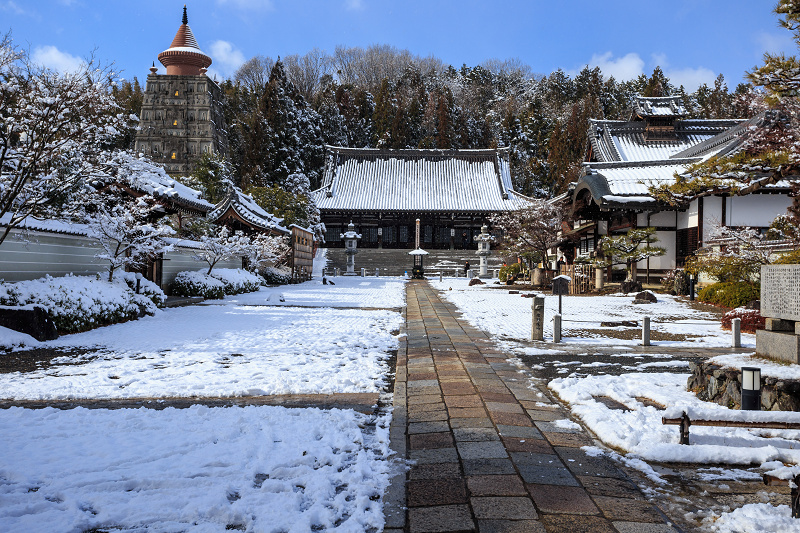 【額縁光景・その17】雪の庭（妙満寺）_f0155048_2325448.jpg
