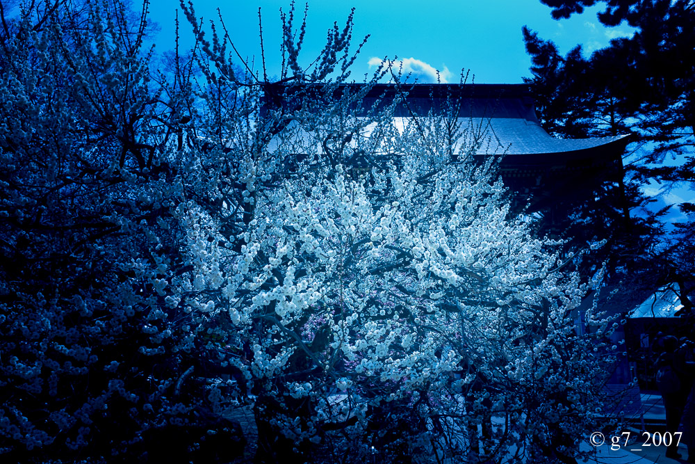 f0152550_23185110.jpg