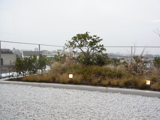 b0004252_23132817.jpg