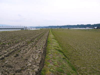 七城米 長尾農園 「天地返し」で、元気な田んぼの土作り!!_a0254656_19403643.jpg