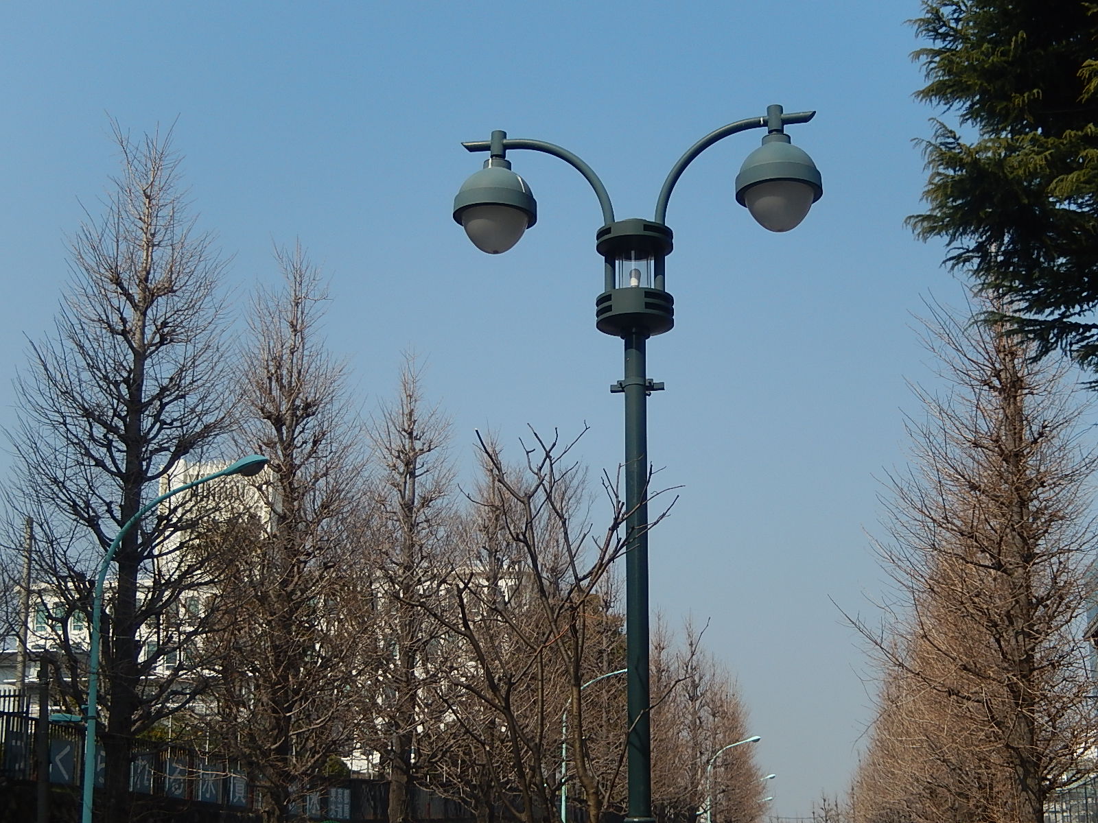 3月12日 渋谷 原宿 の自転車屋 FLAME bike前です!_e0188759_14522553.jpg