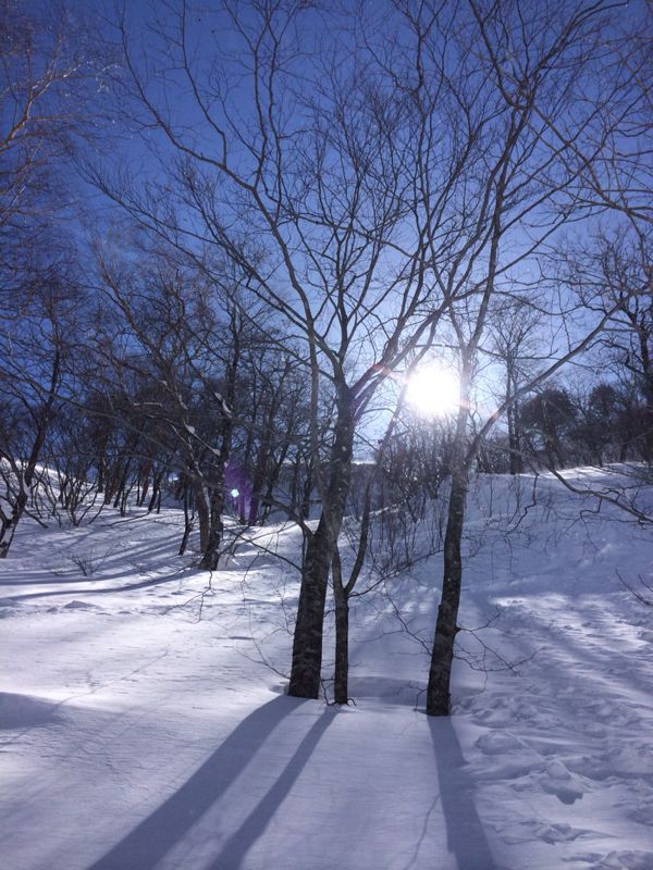 3月なのに最高day☆苗場_c0151965_21392873.jpg