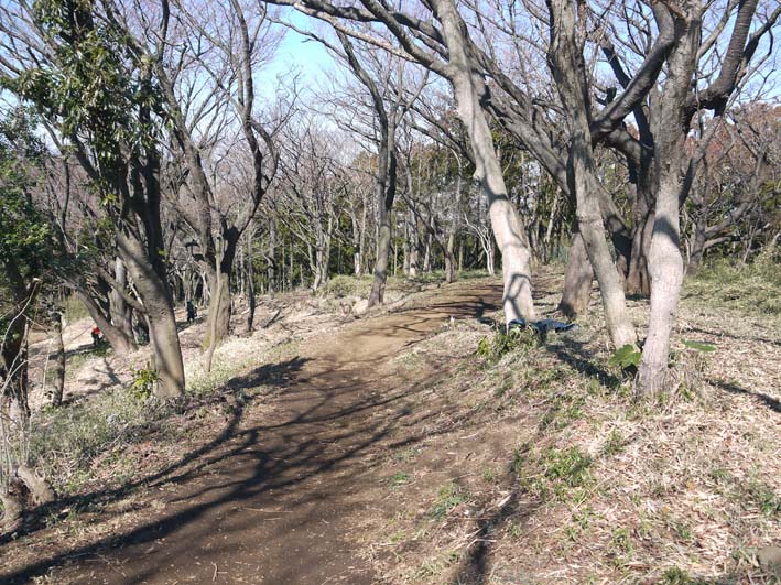 夫婦桜の花見の準備ほぼ完了3・11六国見山臨時手入れ_c0014967_94699.jpg