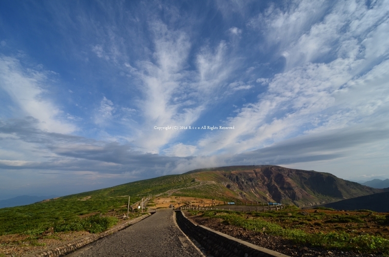 東北 TOHOKU_f0300369_08511618.jpg