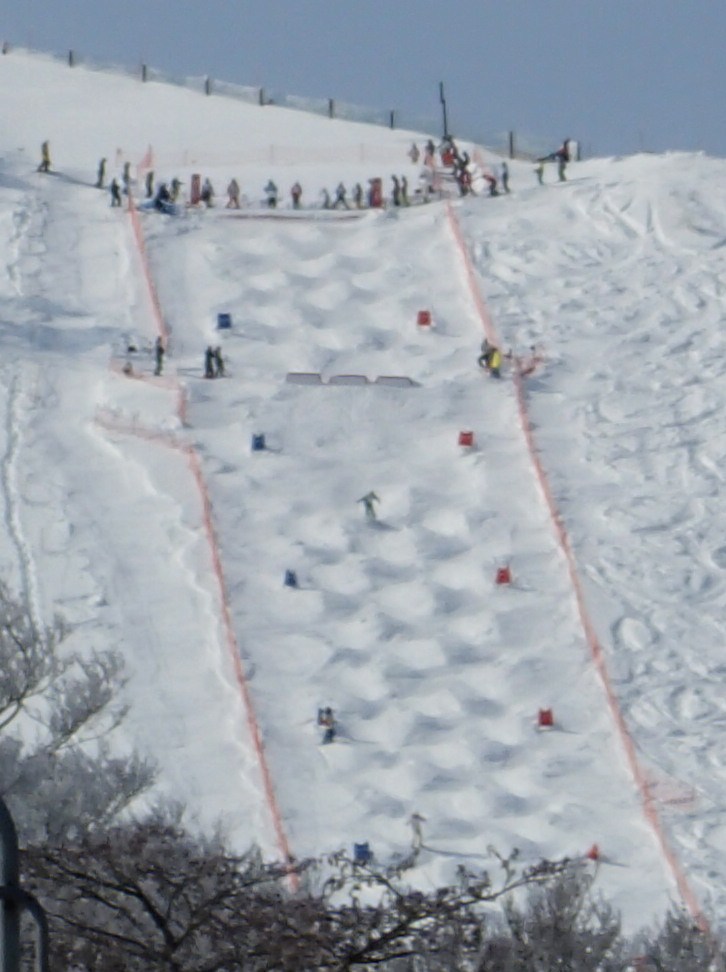 a0125171_21305946.jpg